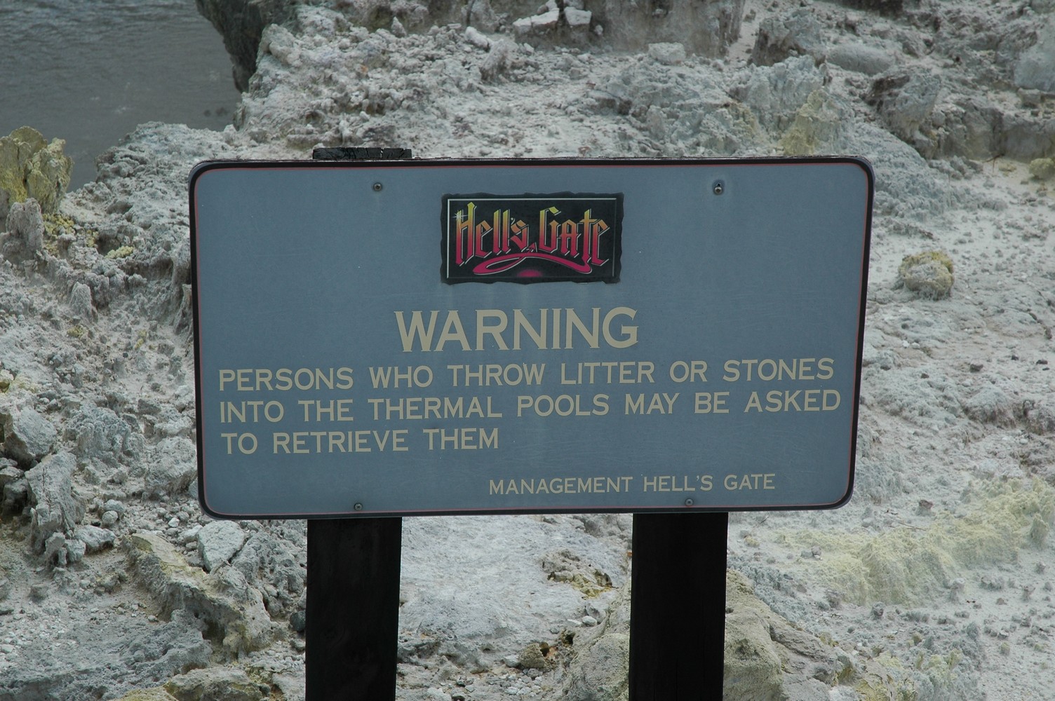 377   04 02   Rotorua